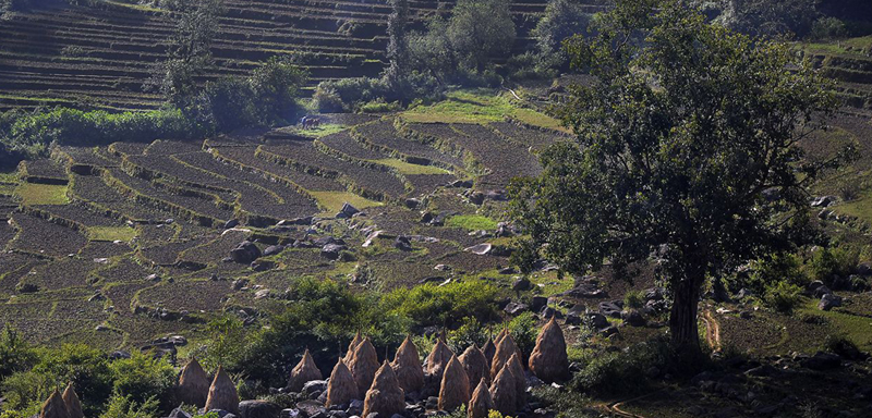 Visit India Voacation